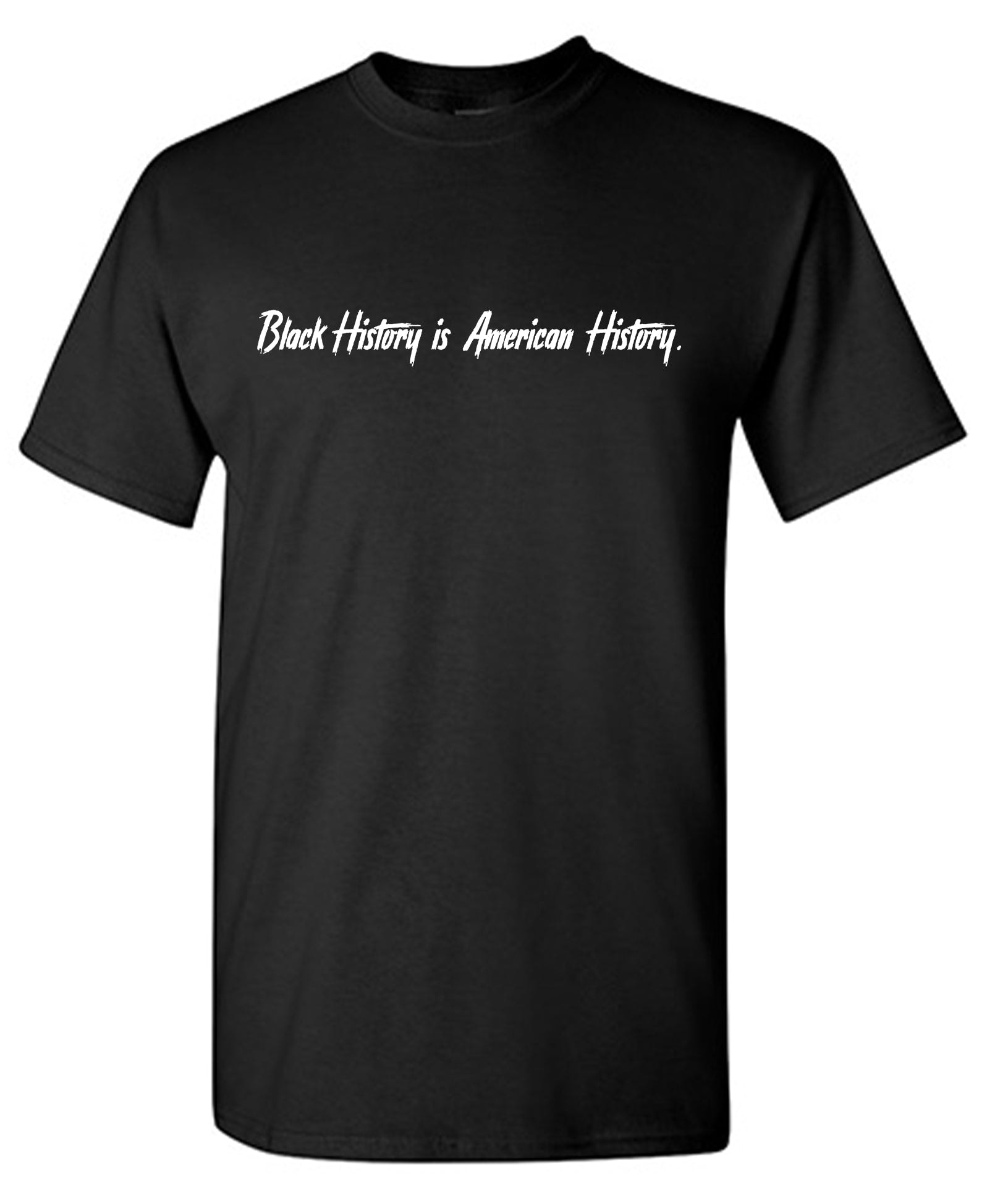 Black History is American History T-Shirts